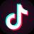 Tiktok Logo