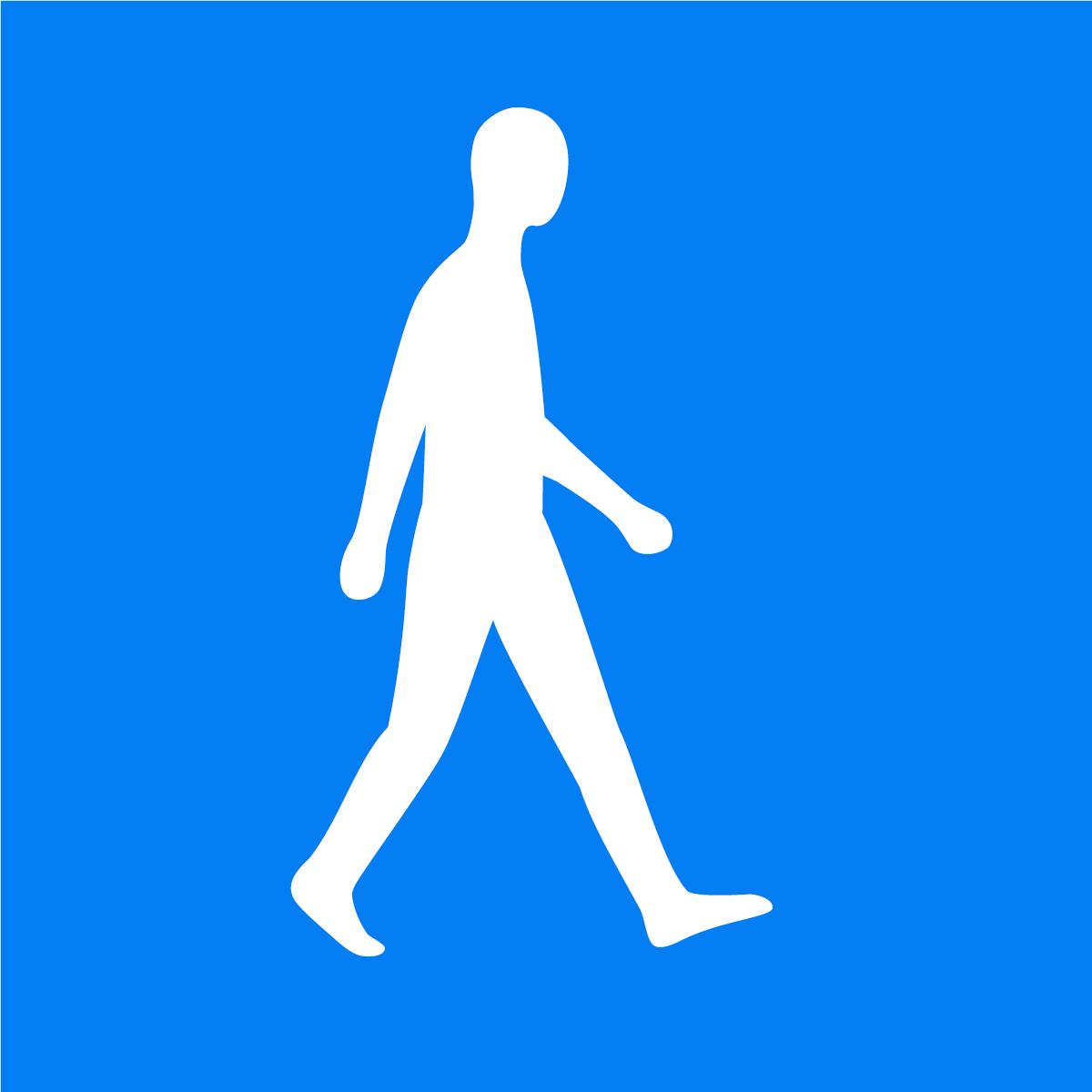 https://edus3.leaderbook.com/prod/upload/img/69bfa69203cf480053c4bc50-AIESEC-Human-Blue.jpg