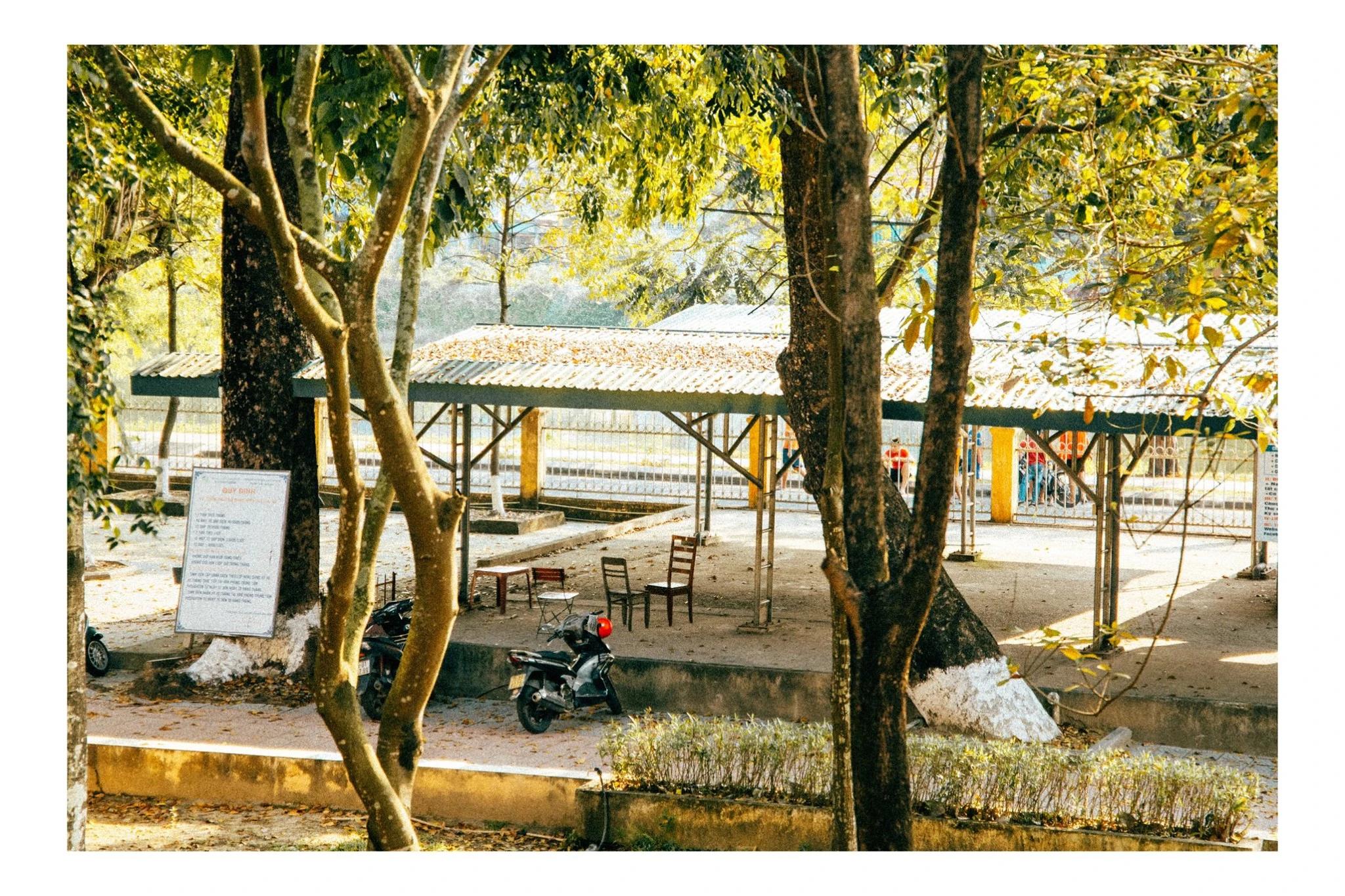 Đại học Nông Lâm - Đại học Huế