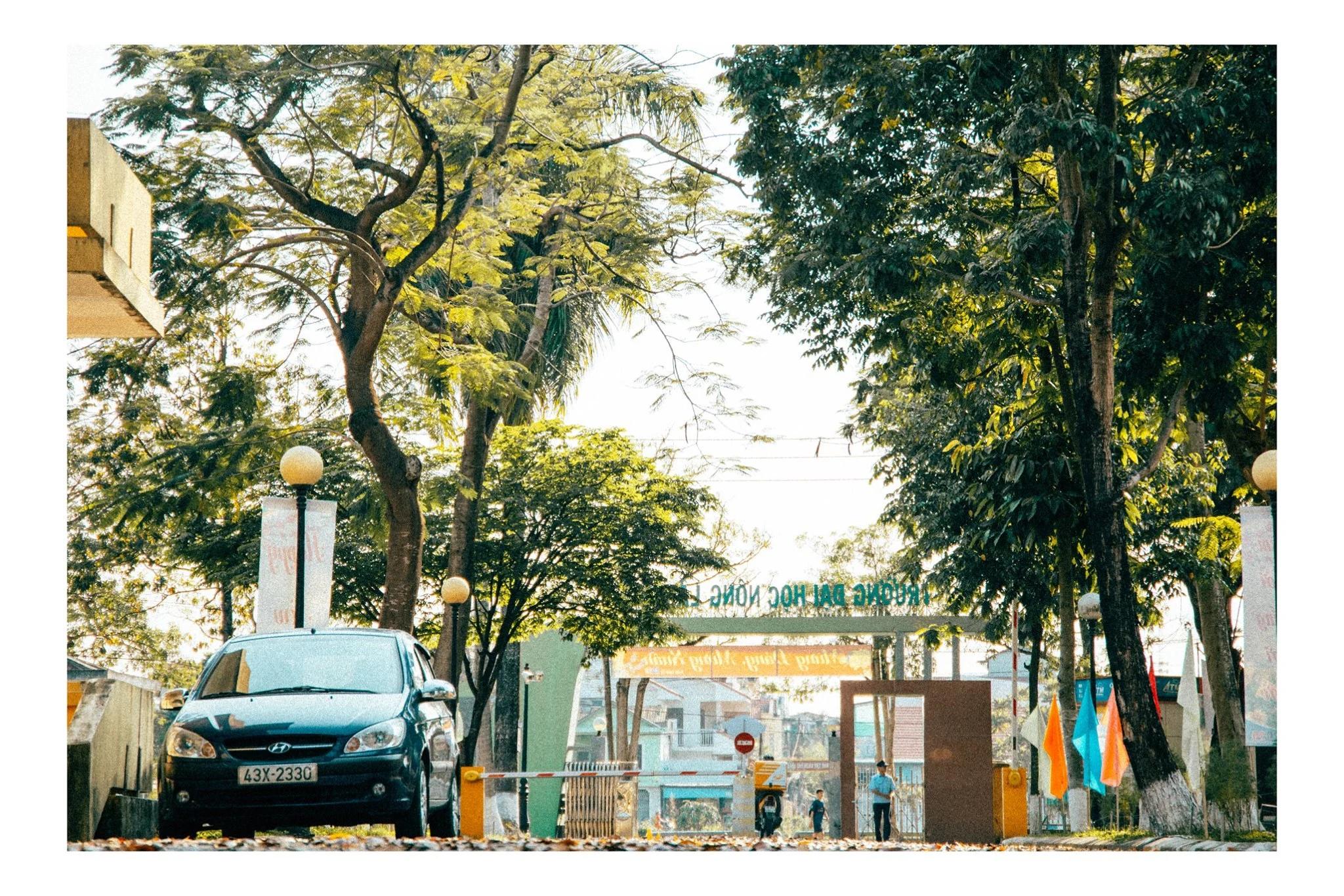 Đại học Nông Lâm - Đại học Huế