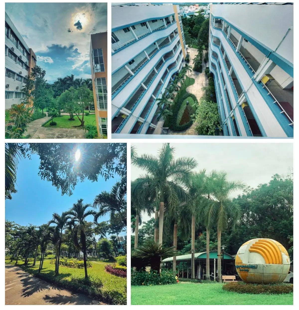 Trường Đại học Ngoại ngữ, Đại học Đà Nẵng