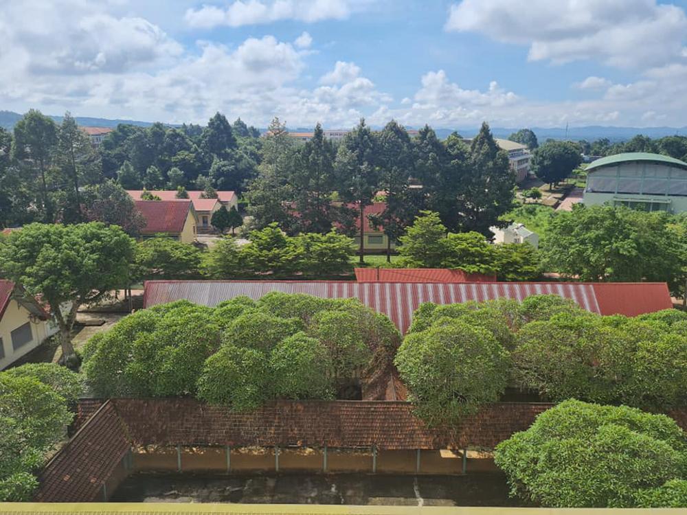 Trường Đại học Tây Nguyên