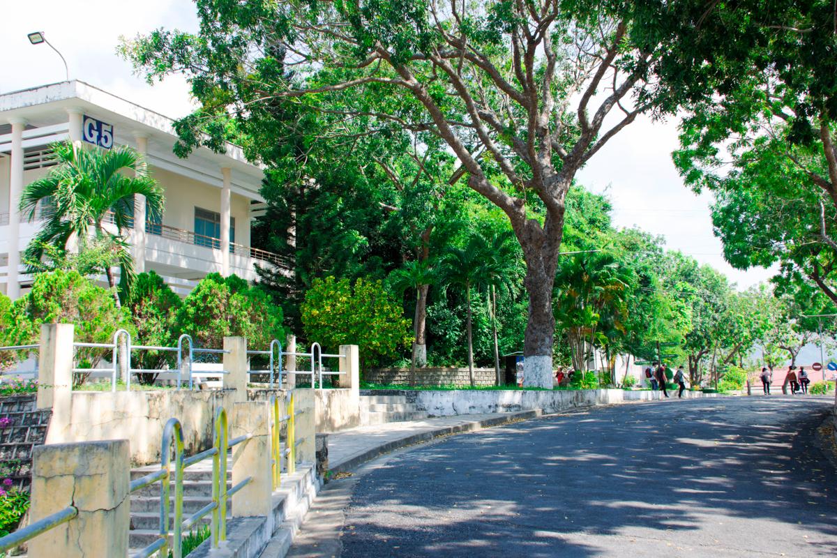 Trường Đại học Nha Trang
