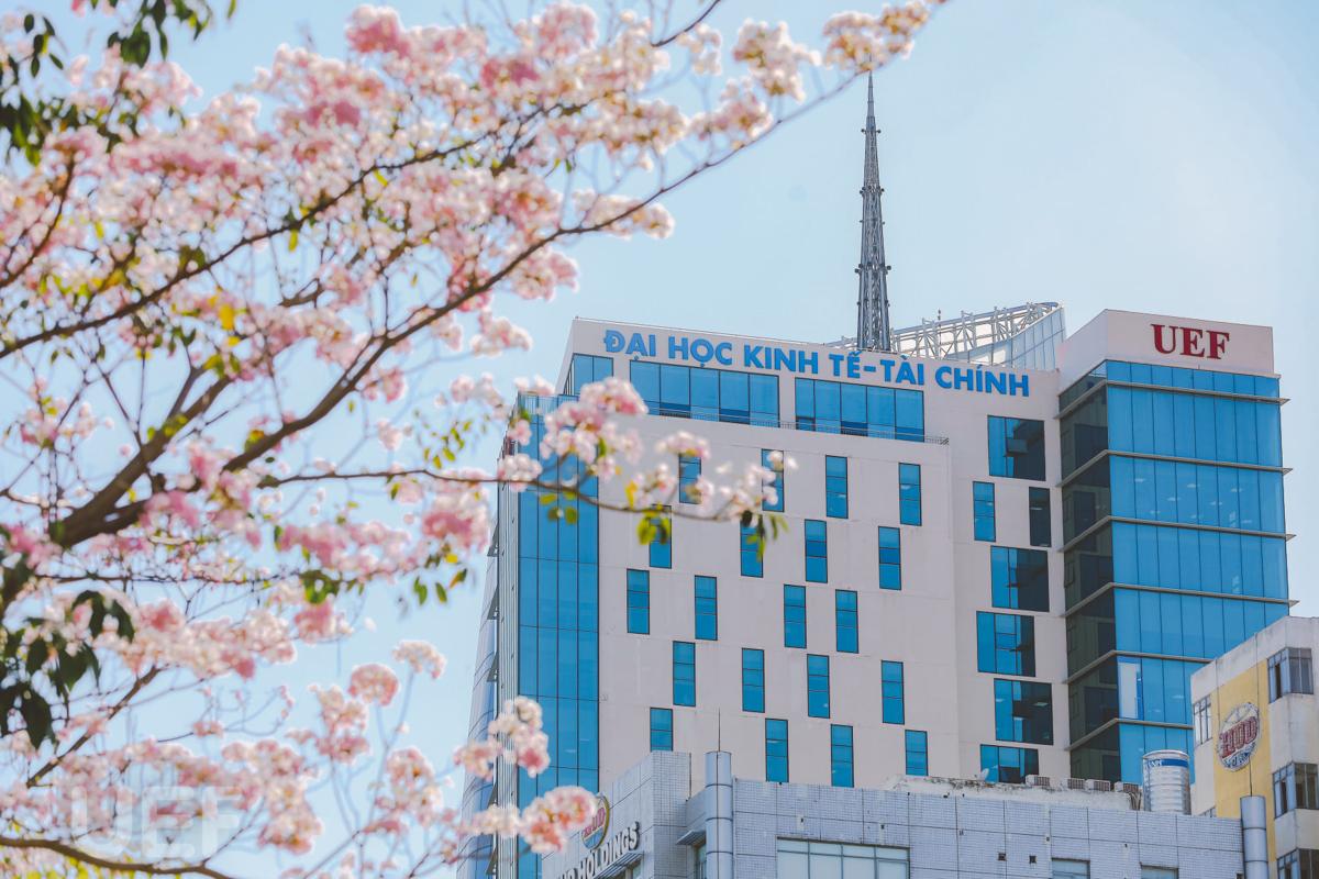 Đại học Kinh Tế -Tài Chính TP HCM