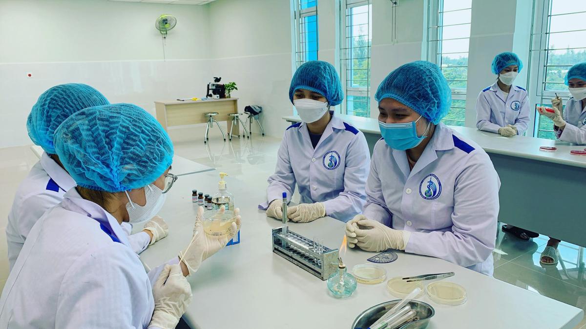 Trường Y Dược, Đại học Đà Nẵng